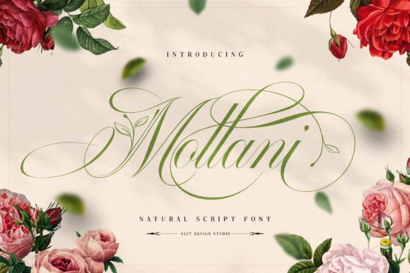 Mollani: A Script with Warm Confidence and Modern Flow