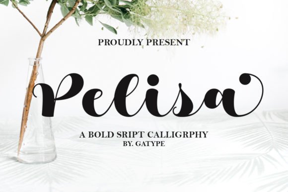 Pelisa: The Clear, Casual Font for Campaigns That Stand Out