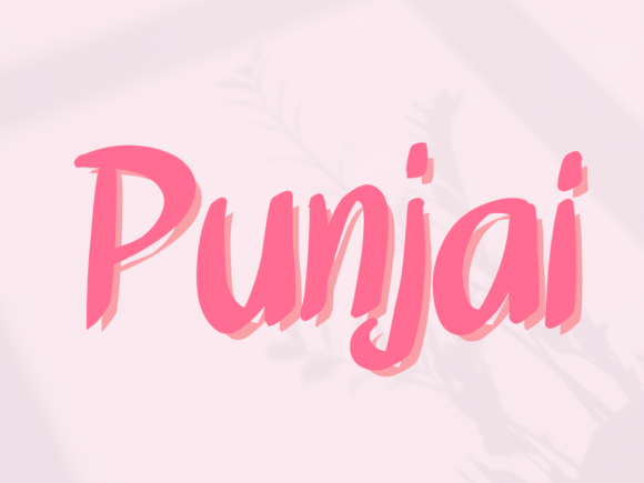 Using Punjai for a More Joyful Digital Brand