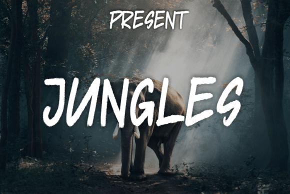 Working with Jungles: A Designer's Journey into Modern Calligraphy